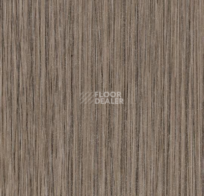 Линолеум Forbo SureStep Material 18562 grey seagrass фото 1 | FLOORDEALER